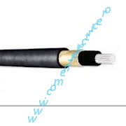 Cablu electric CCBYY 10/10 cu conductor concentric pentru bransamente monofazate